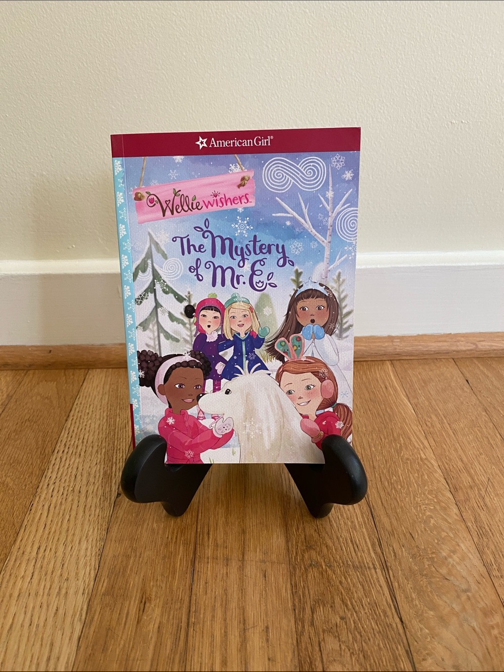 American Girl WellieWishers  Books, set of 5